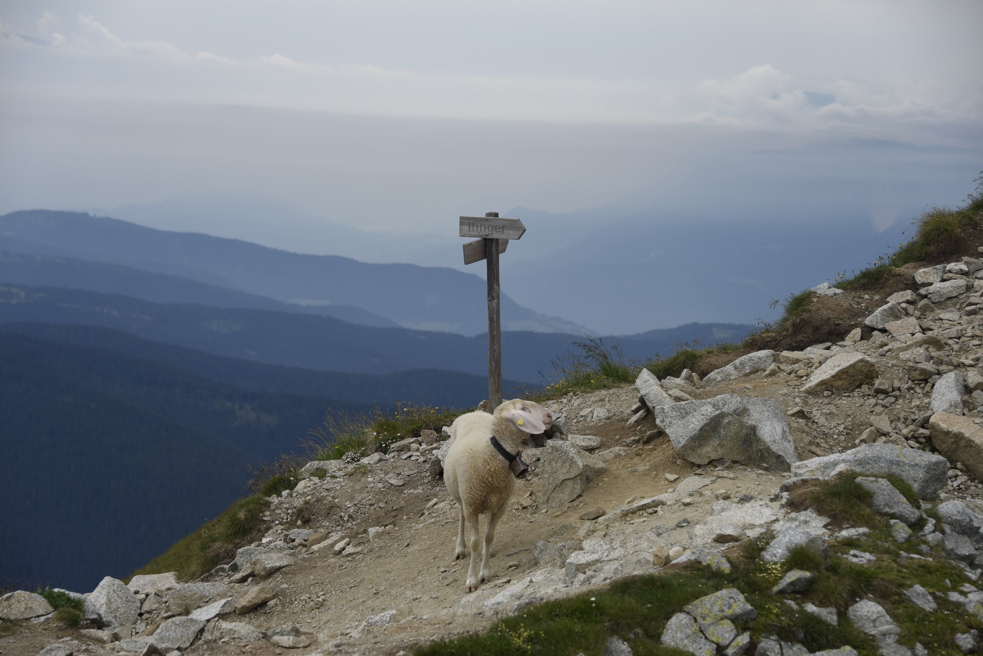 Klettersteig-Ifinger (23)